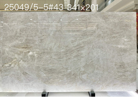 Taj Mahal Quartzite 25049